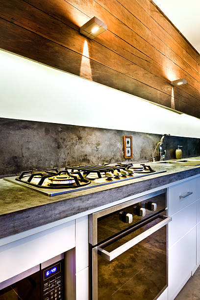 Electric Grills