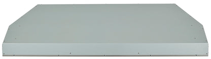 Coyote 48" Outdoor Vent Hood Insert / Liner