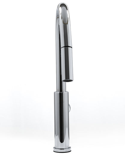 Cameo Pull-Down Kitchen Faucet (Polished Chrome)