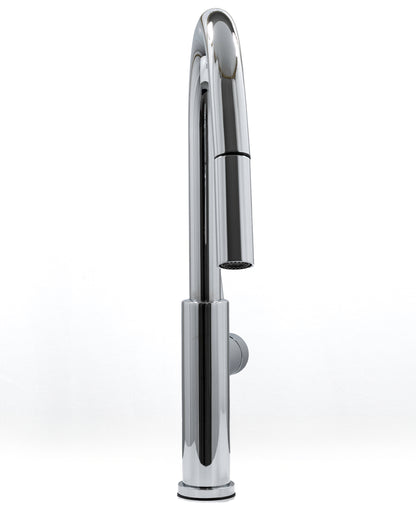 Cameo Pull-Down Kitchen Faucet (Polished Chrome)