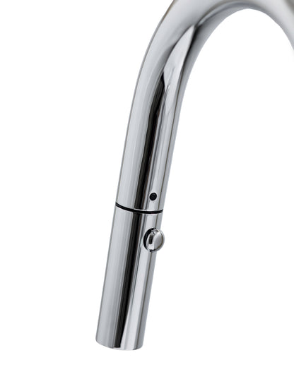 Cameo Pull-Down Kitchen Faucet (Polished Chrome)