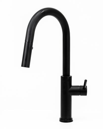Cameo Pull-Down Kitchen Faucet (Matte Black)