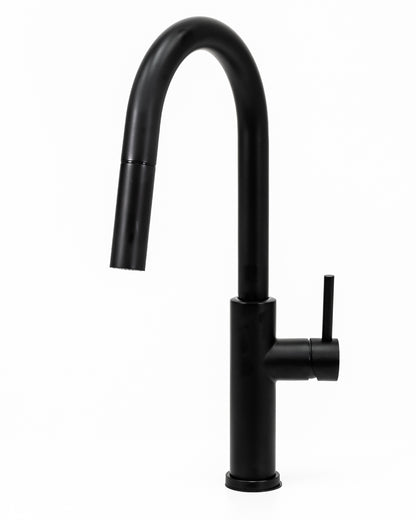 Cameo Pull-Down Kitchen Faucet (Matte Black)