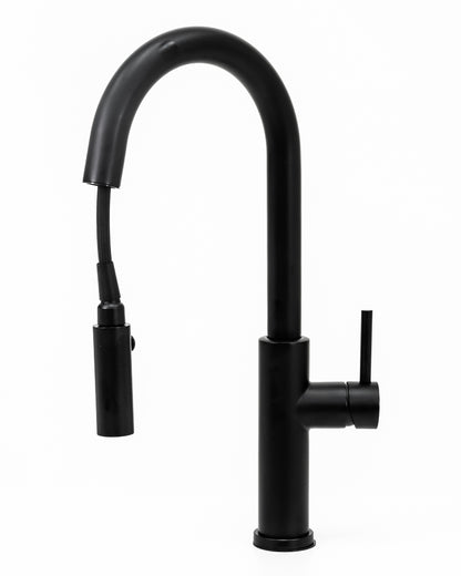 Cameo Pull-Down Kitchen Faucet (Matte Black)