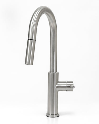 Cameo Pull-Down Kitchen Faucet (Stainless Steel)