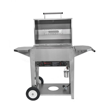 Wilmington Grill Classic Gas Grill